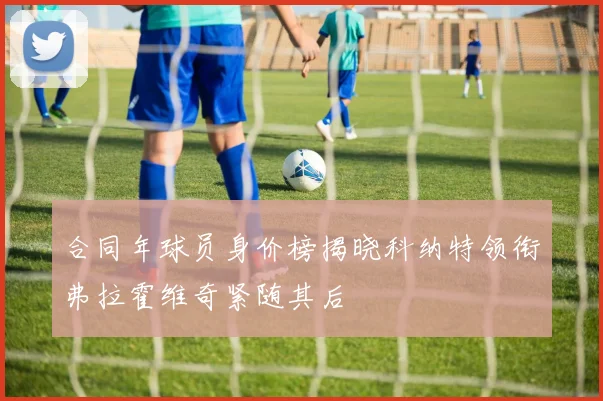 合同年球员身价榜揭晓科纳特领衔弗拉霍维奇紧随其后