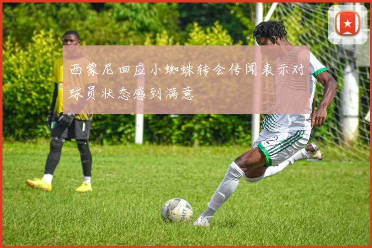 西蒙尼回应小蜘蛛转会传闻表示对球员状态感到满意